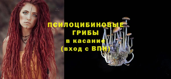 дмт Алексеевка