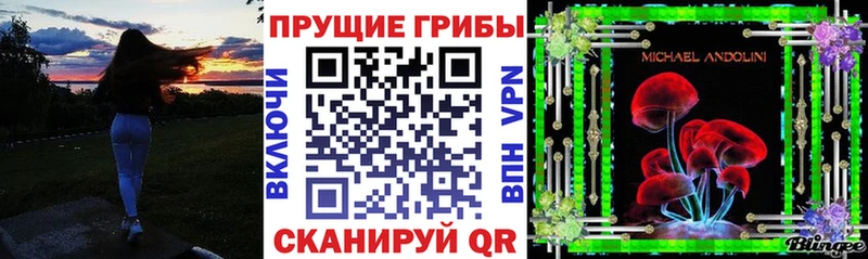 Псилоцибиновые грибы Magic Shrooms  где купить наркоту  Нюрба 